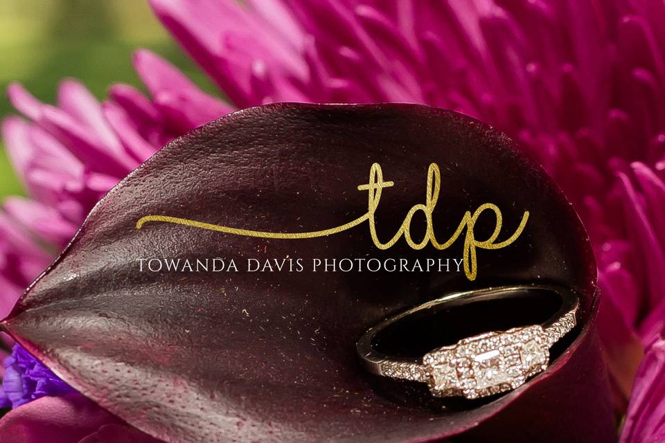 Towanda Davis Photography