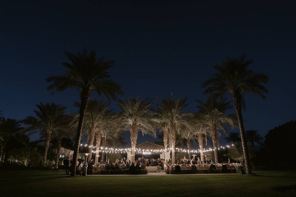 Old Polo at night