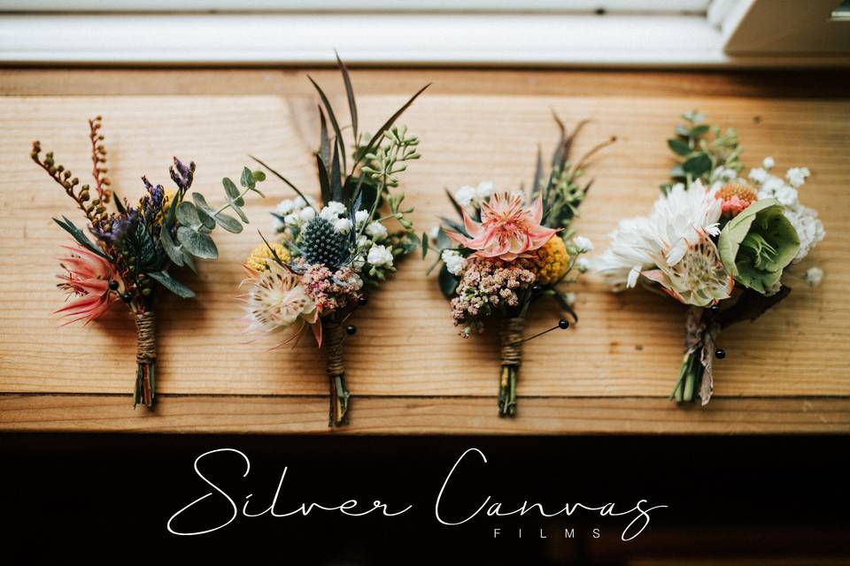 Silver Canvas Films 2