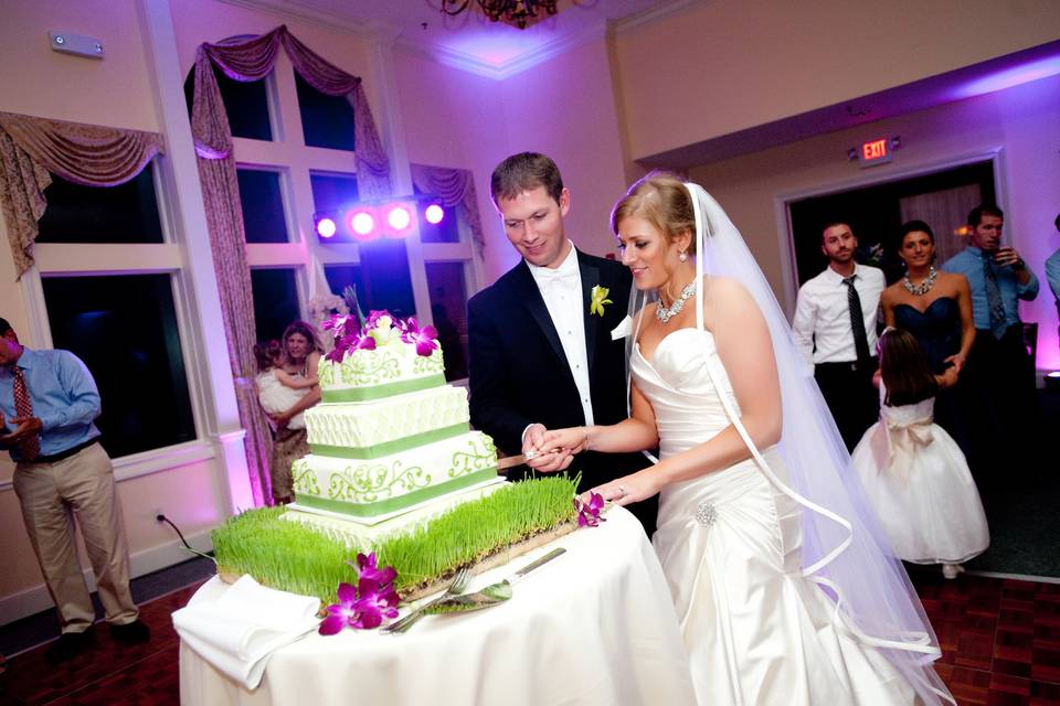 Cake cutting