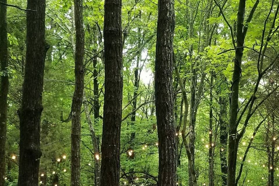 May wedding in woods