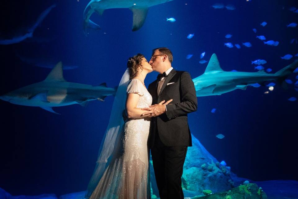 Newlyweds kiss