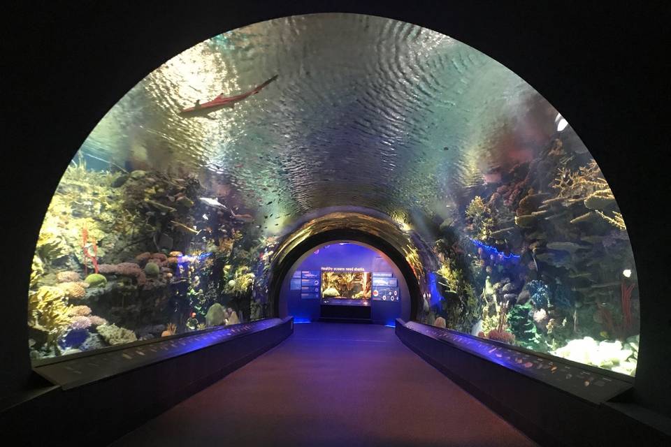 New York Aquarium Venue Brooklyn, NY WeddingWire