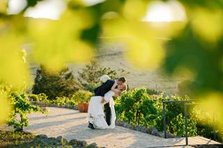 Vines and Vows