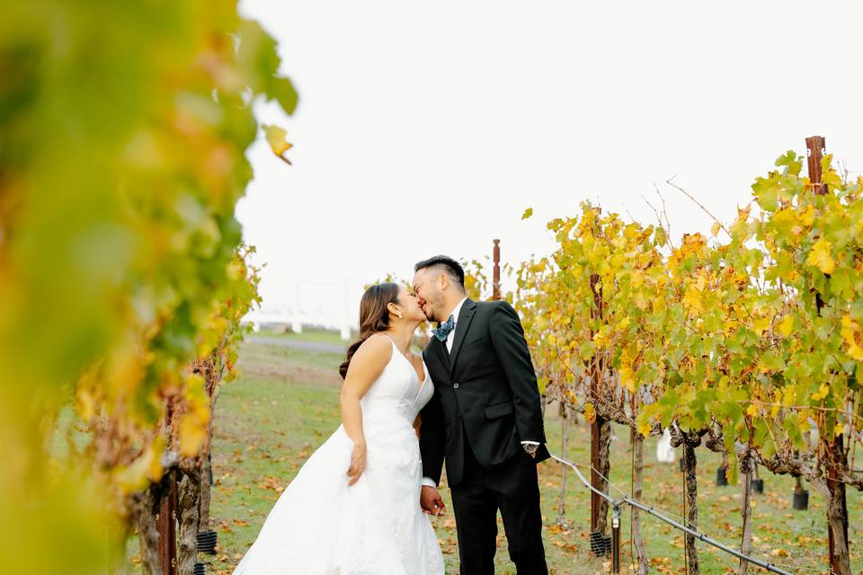 That tender kiss - Vines and Vows Weddings
