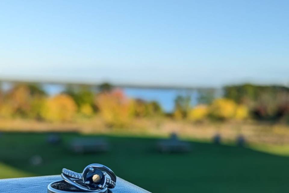 Wedding Rings with a view