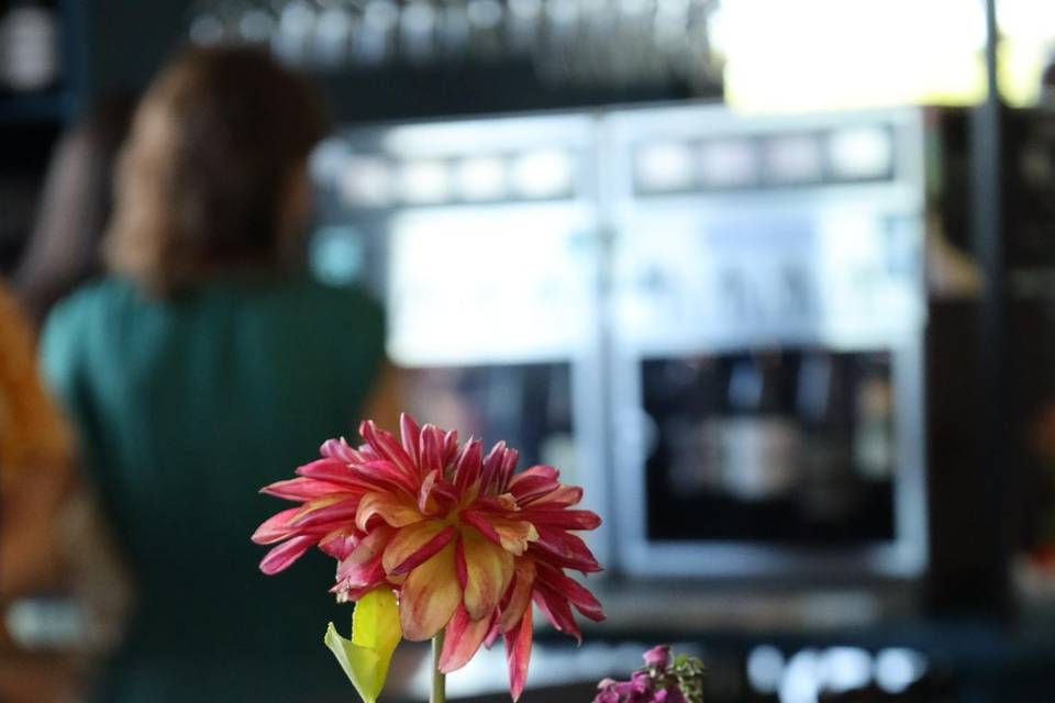 Wine Dispensers and Cocktail