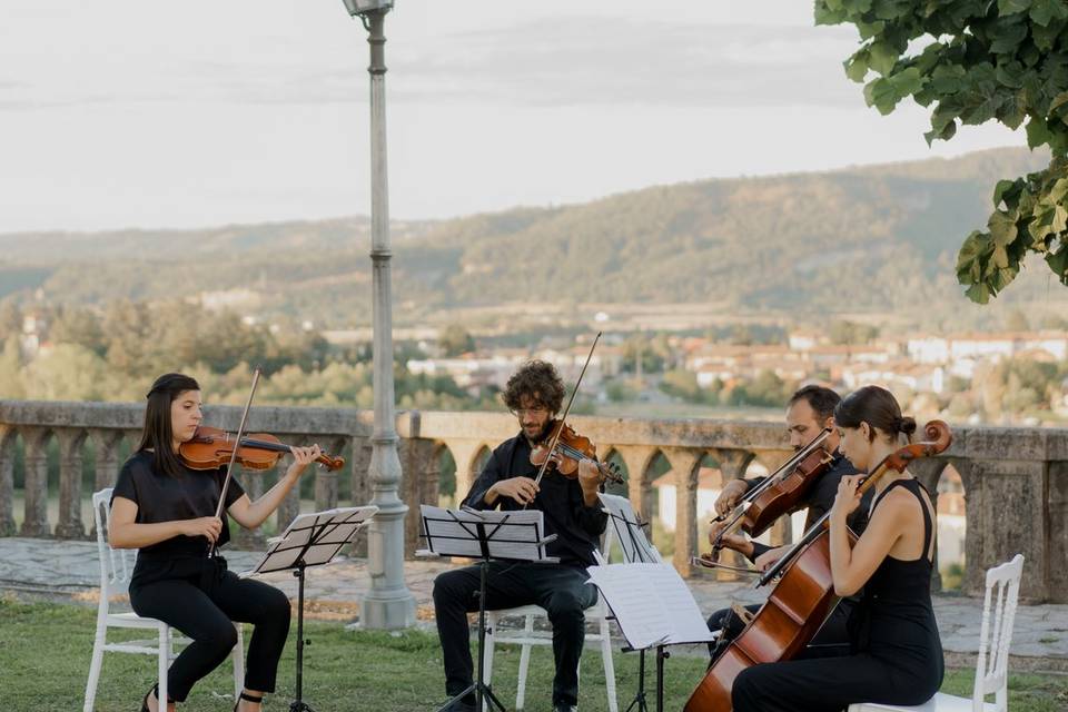 Strings Quartet