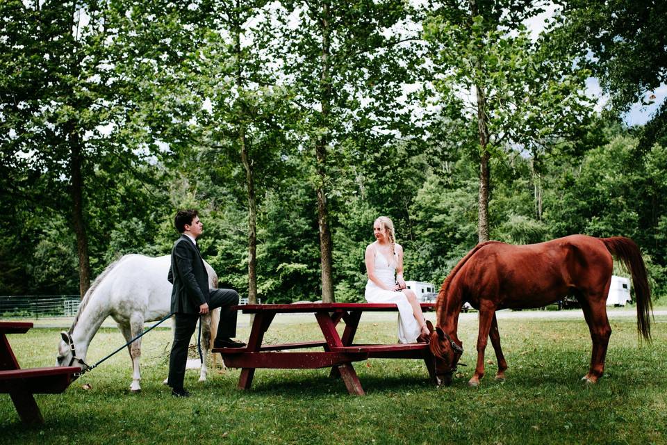 Bridal Shoot