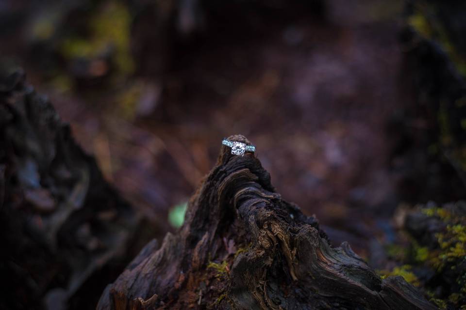 Engagement Ring