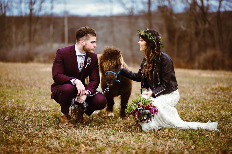 Pony Bride & Groom