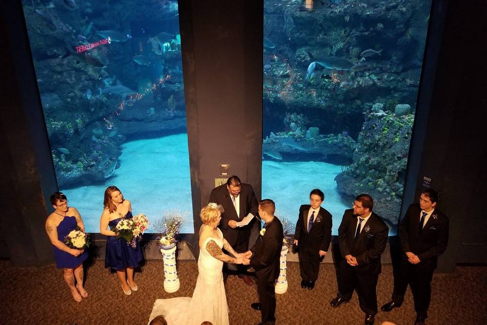 Aquarium Wedding