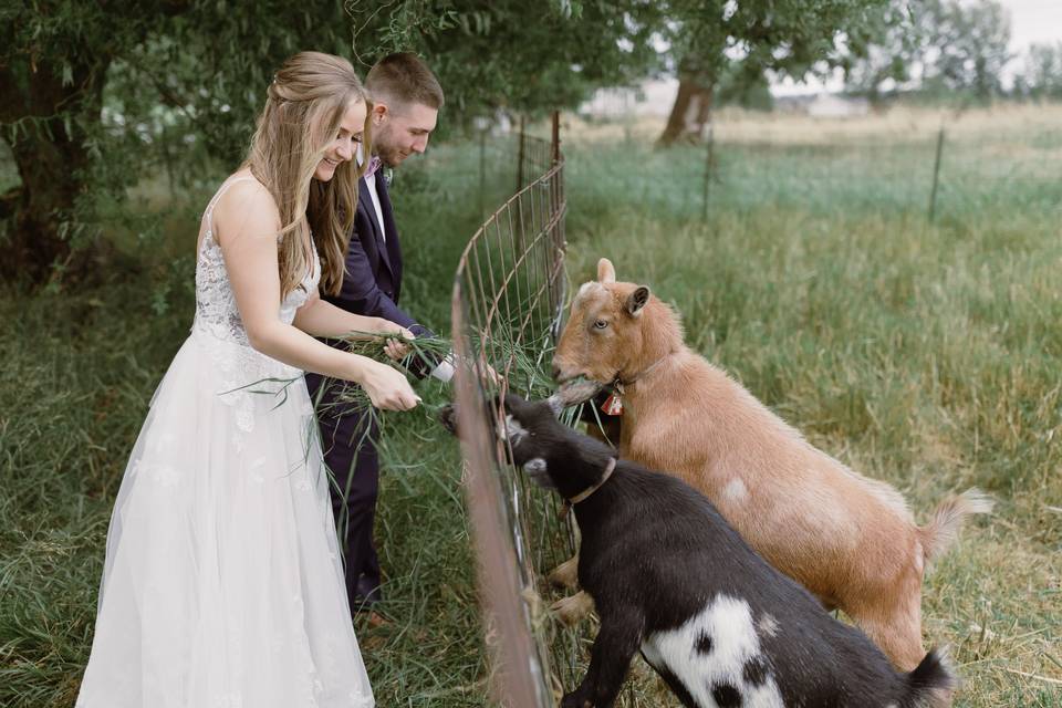 Farm and Garden Wedding