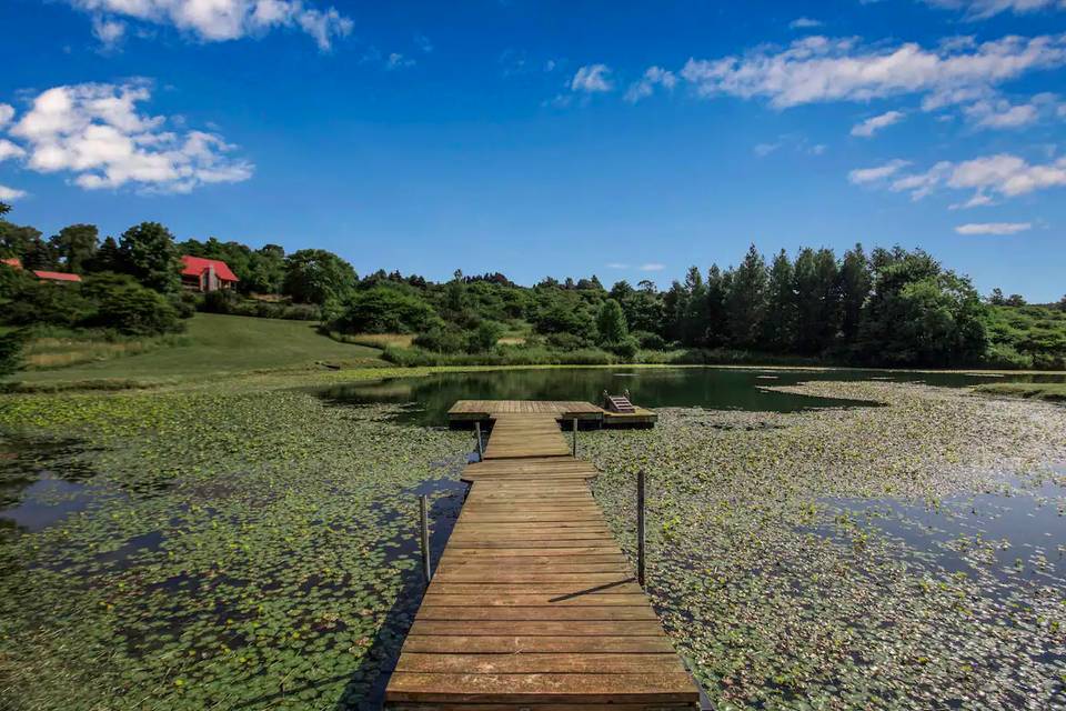 Wooden walkway over Pond