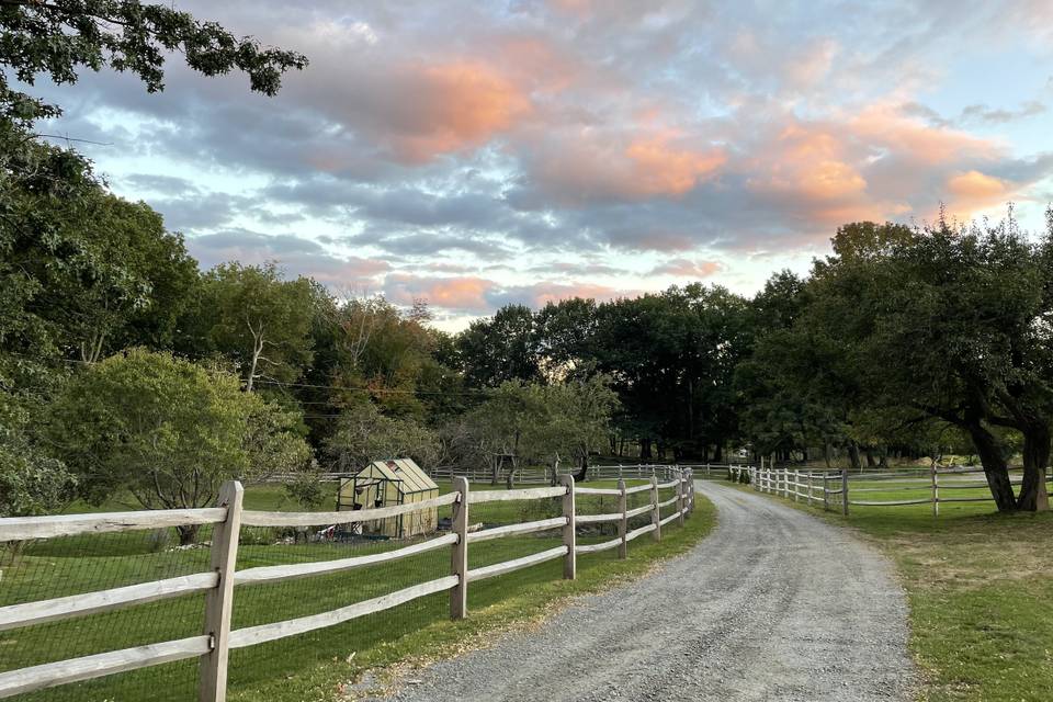 Farm Lane