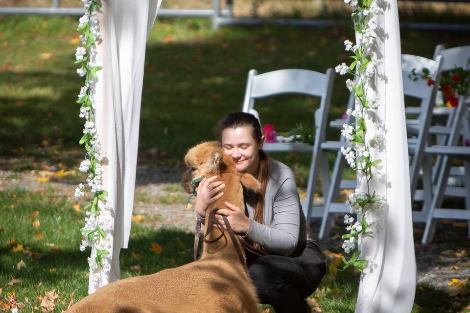 Outdoor Ceremony