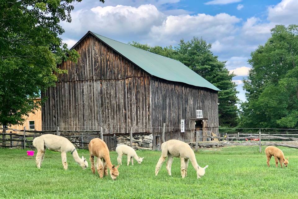 18th Century Barn