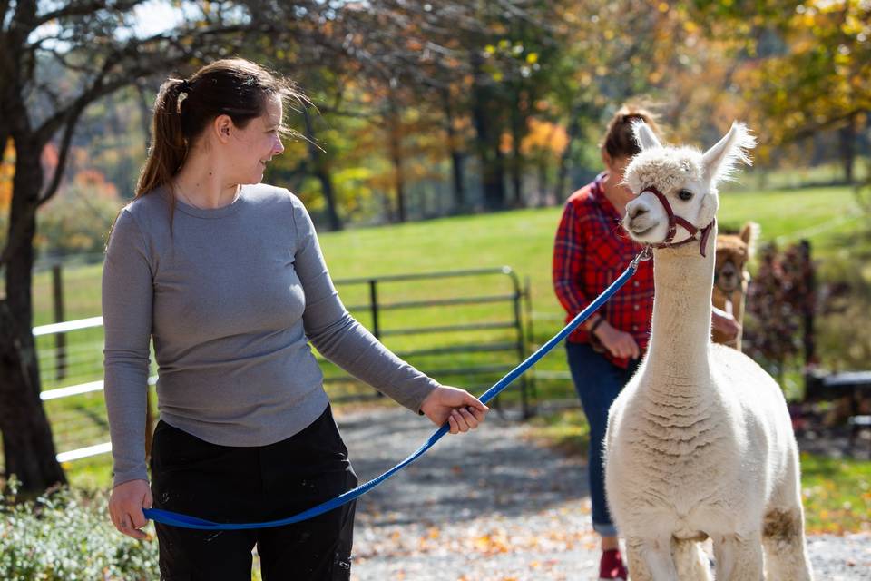 Walking with Albert