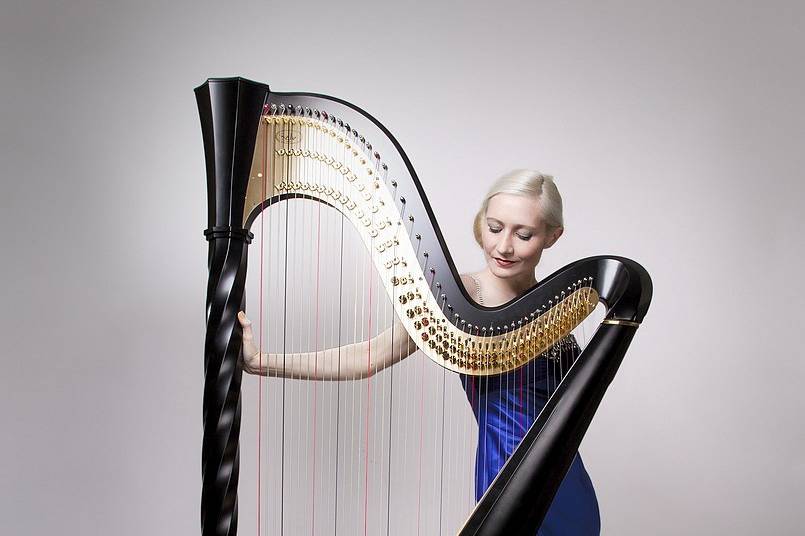 Wedding harpist