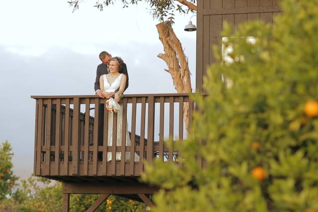 Stone Wedding Films