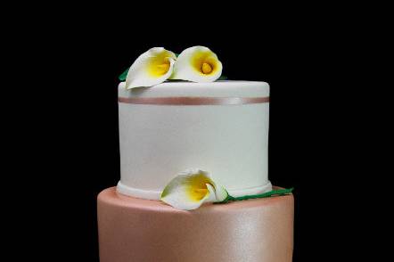 Nude white cake