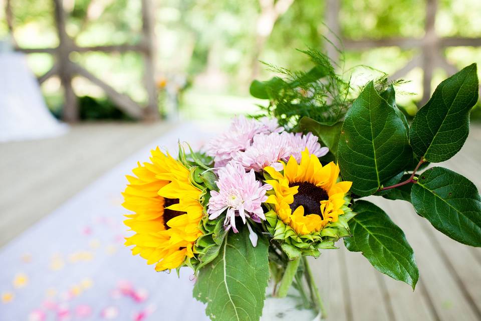 Sunflowers | Debbie Laughlin Photography