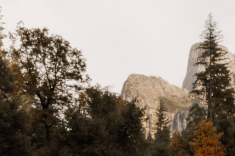 Yosemite engagement