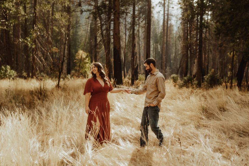 Yosemite Engagement