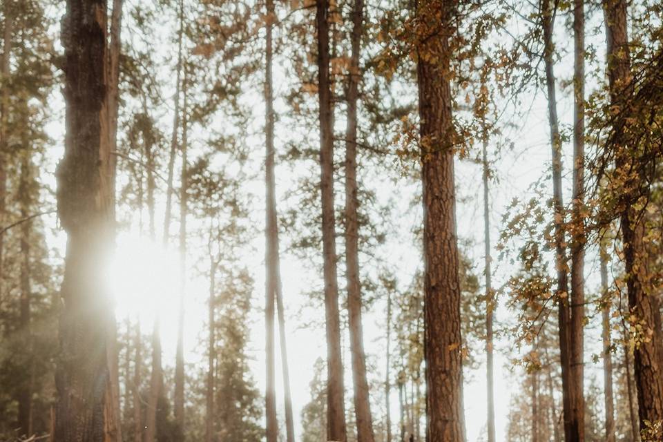 Lake Tahoe Wedding