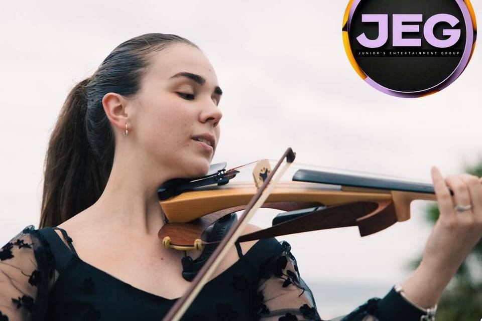 Unique Bands + DJs + more