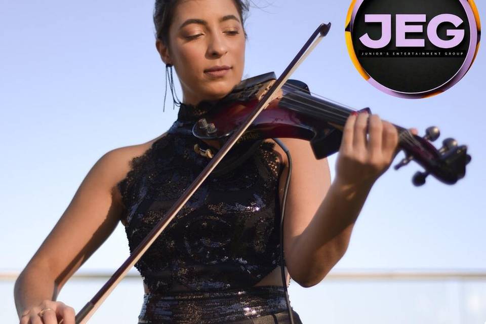 Unique Bands + DJs + more