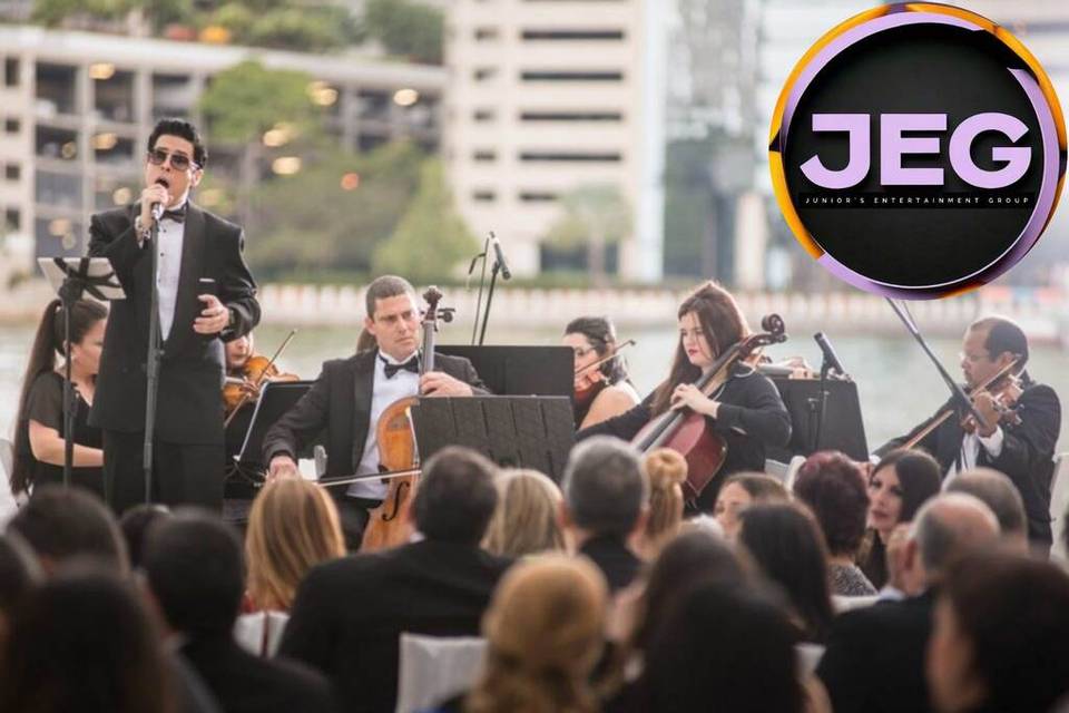 Unique Bands + DJs + more