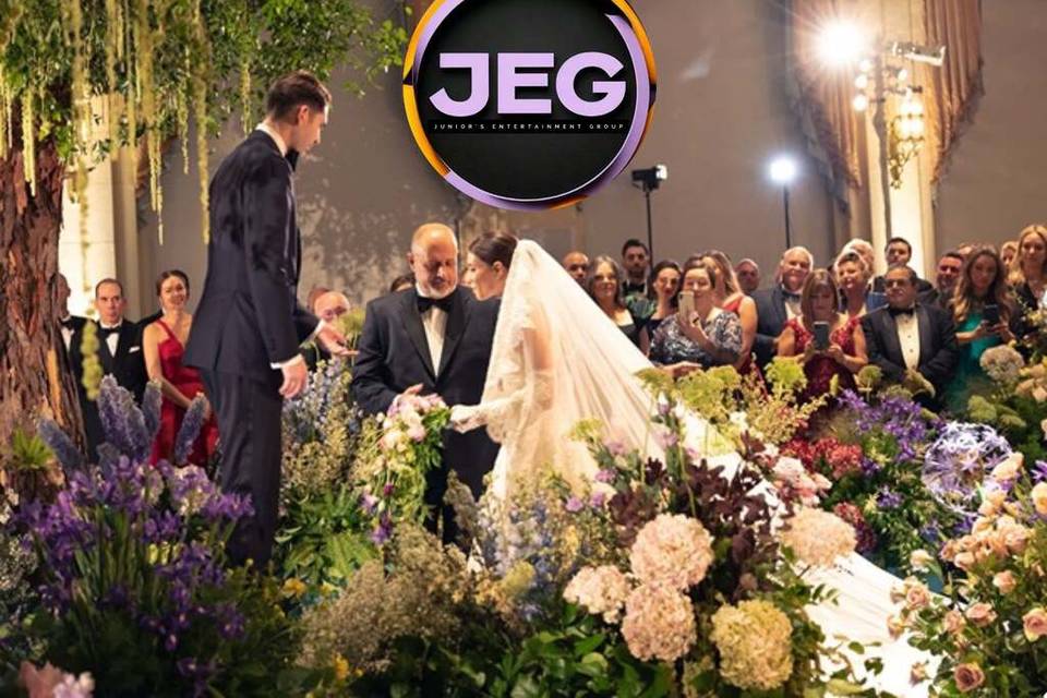 Junior's Entertainment Effect