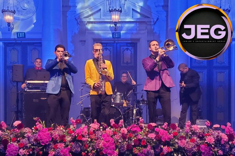 Unique Bands + DJs + more