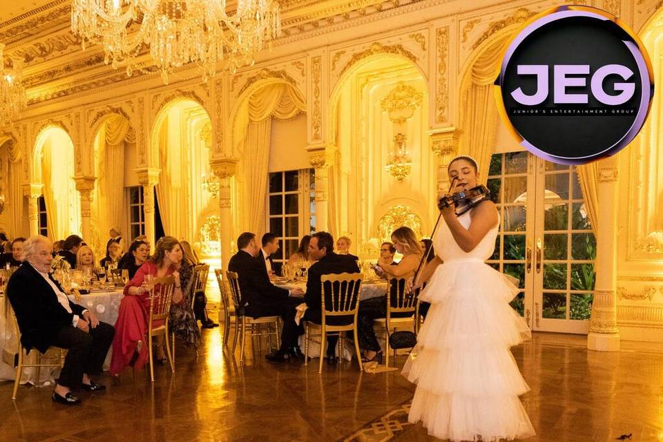 Electric Violinist Show