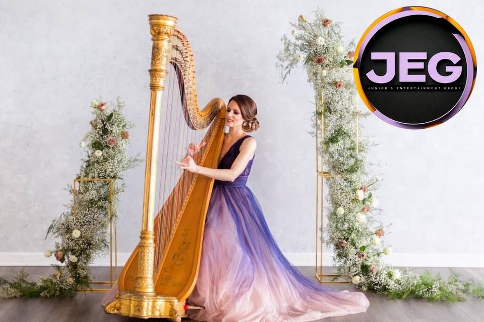 Unique Bands + DJs + more