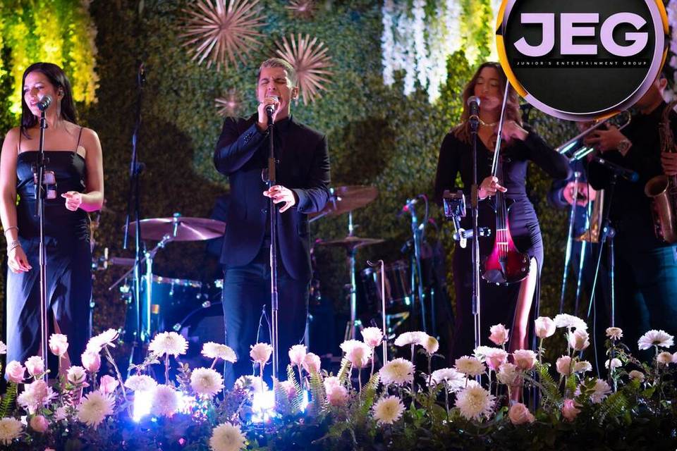 Unique Bands + DJs + more