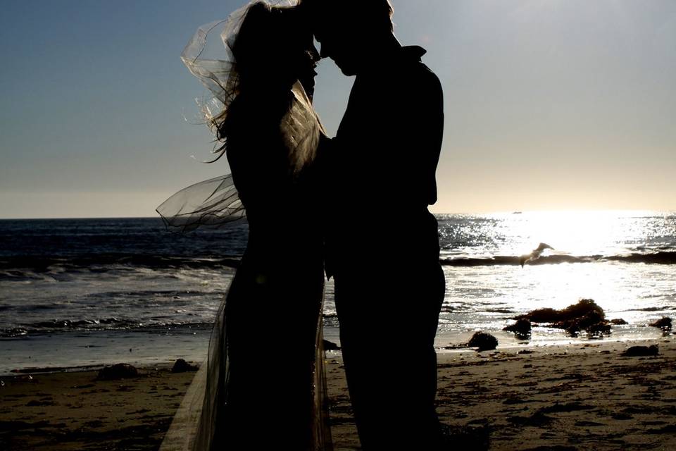 Enluvia Rose Photography