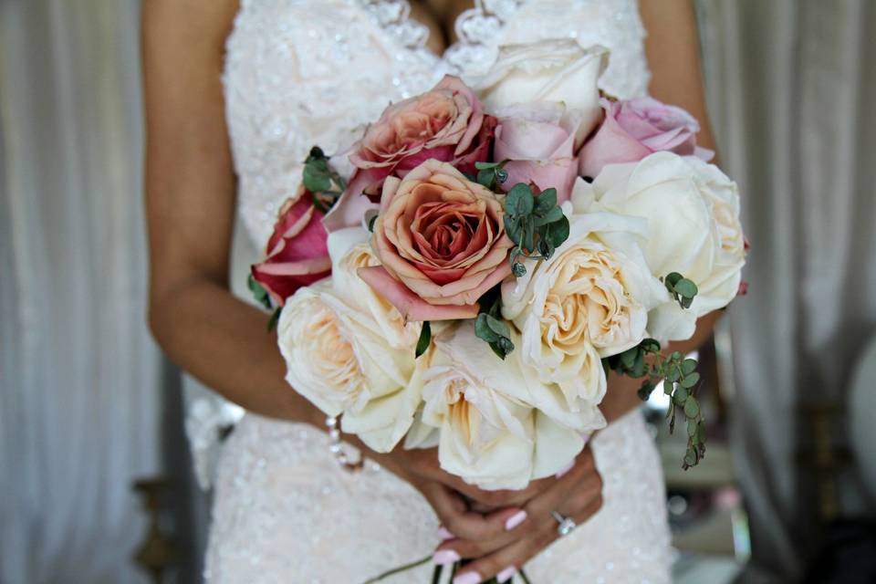 Enluvia Rose Photography