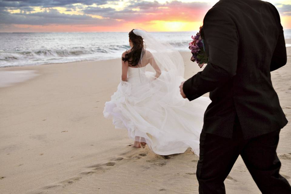 Enluvia Rose Photography