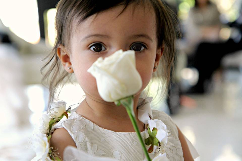 Enluvia Rose Photography