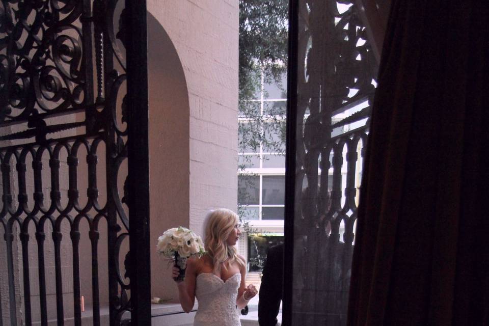 Enluvia Rose Photography