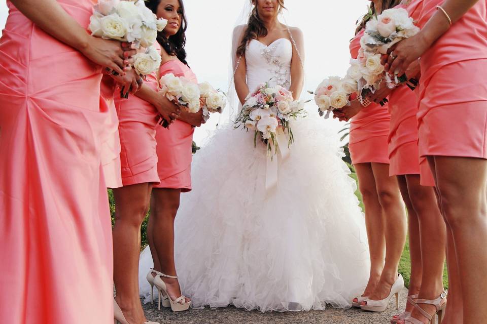 Enluvia Rose Photography