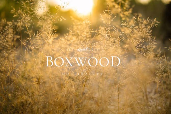 The Laurel Texas by Boxwood