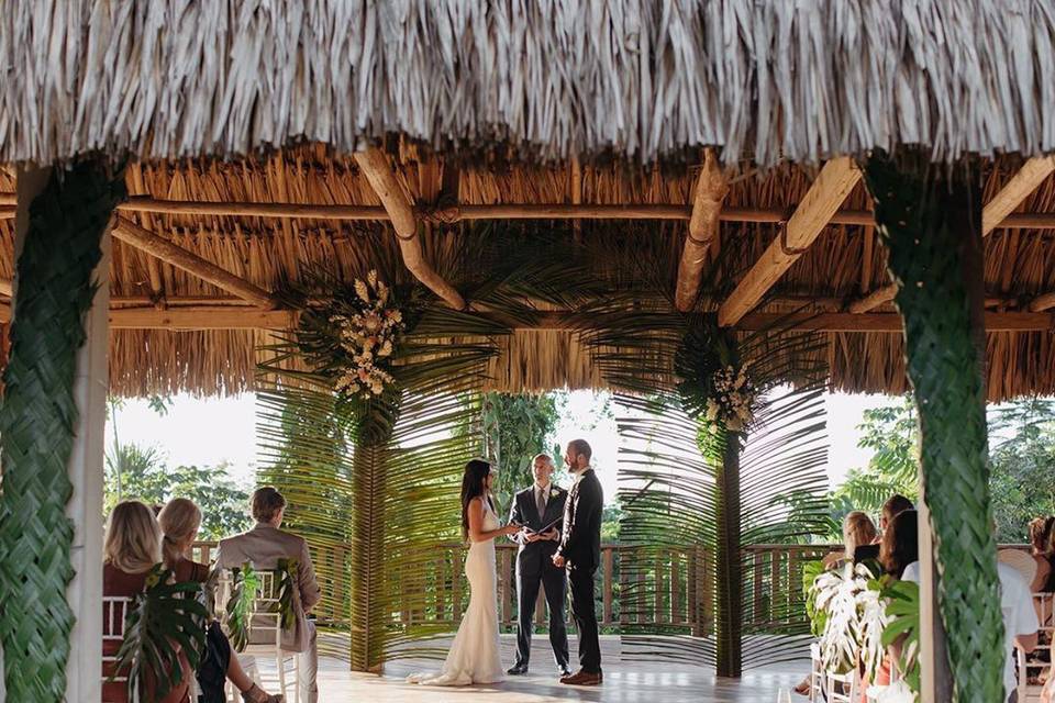 Jungle Weddings