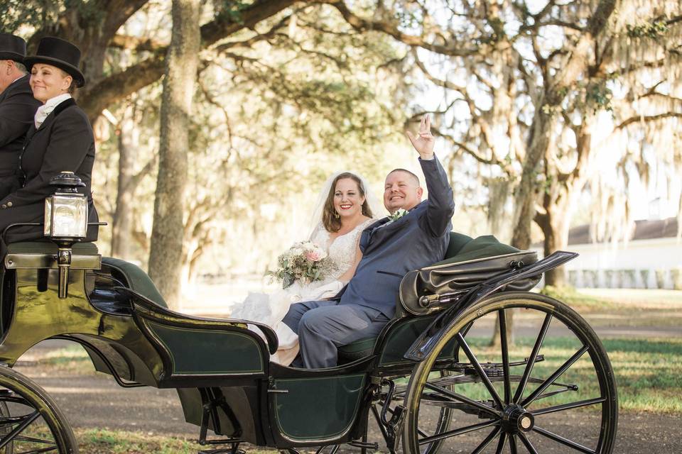 Ocala Wedding