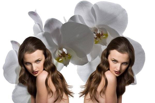 Double orchid