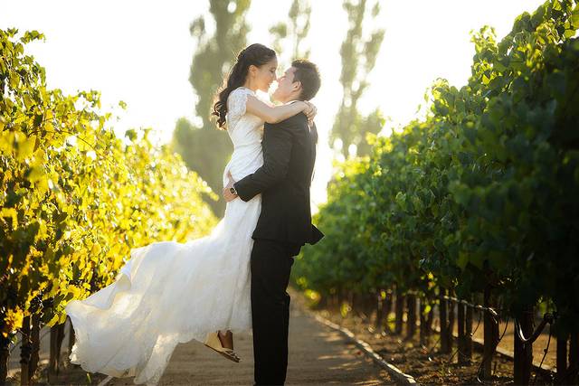 In the vineyard
