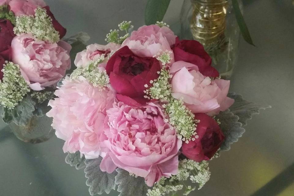 bridal bouquet with all peonies accented with queens Anne lace and dusty miller