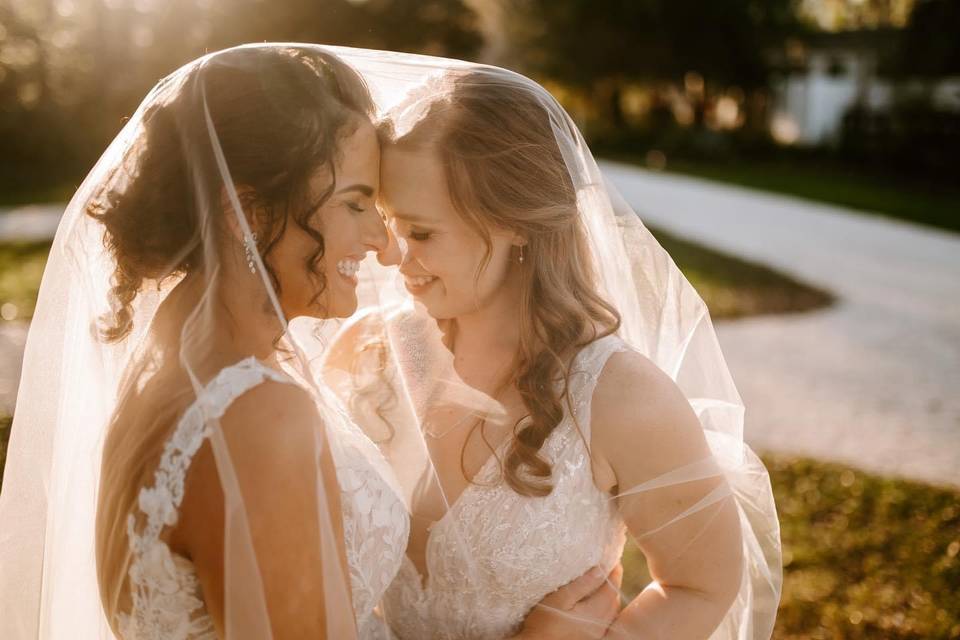 The Brides and Veil